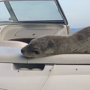 Meet your Posher, Andrew